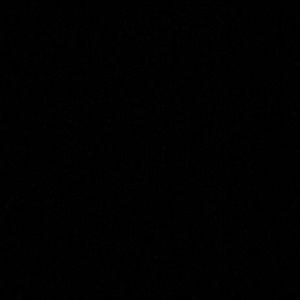 Meet your Posher, Gianna